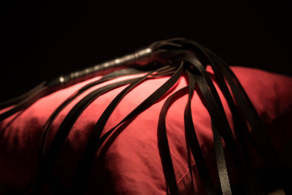 What Are Sex Whips and How Do You Use Them Safely?
