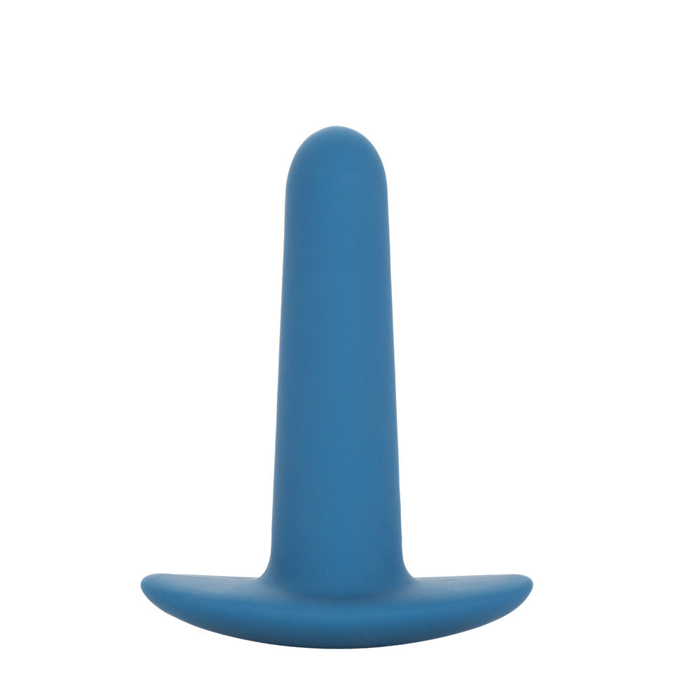 They-Ology 5-Piece Wearable Anal Training Set