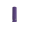 Evolved Purple Passion Rechargeable Bullet Vibrator